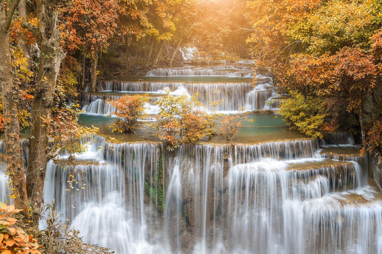 Waterfall Wonderland
