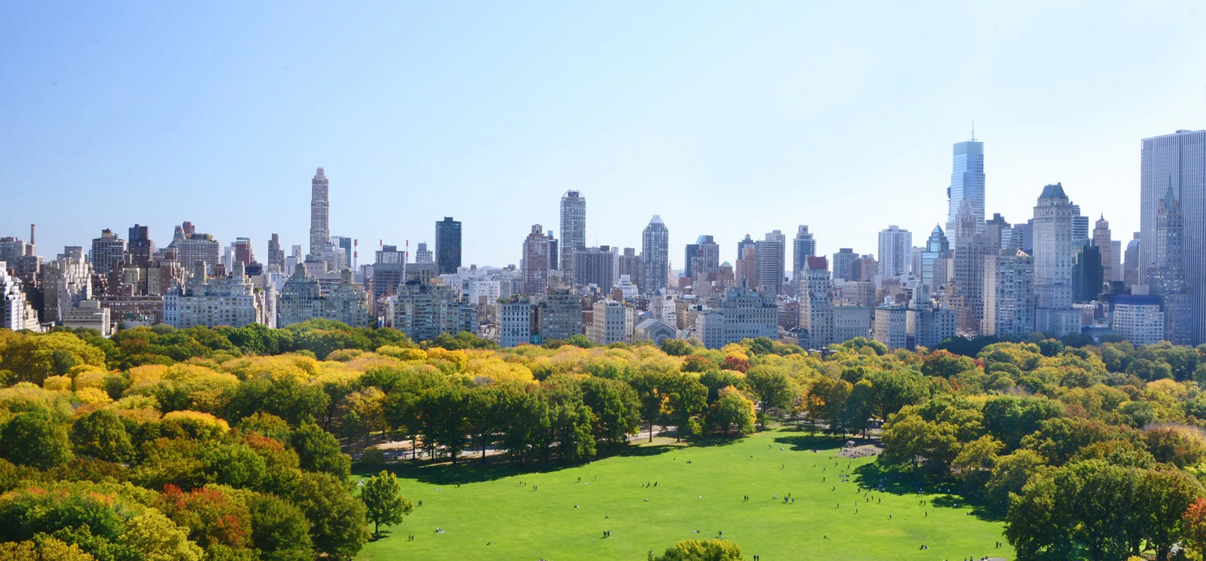 activities in new york city