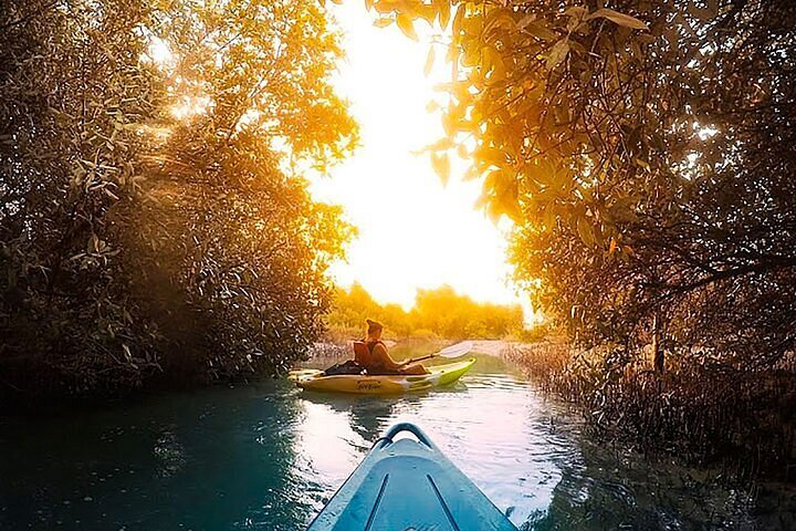 al jubail mangrove park