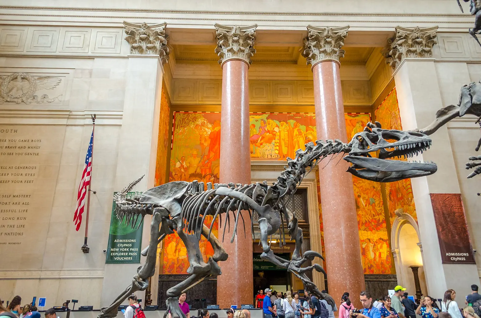 best things to do in new york