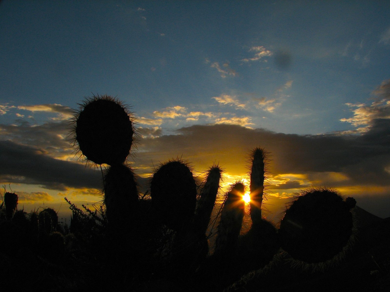 cool evenings Mexico