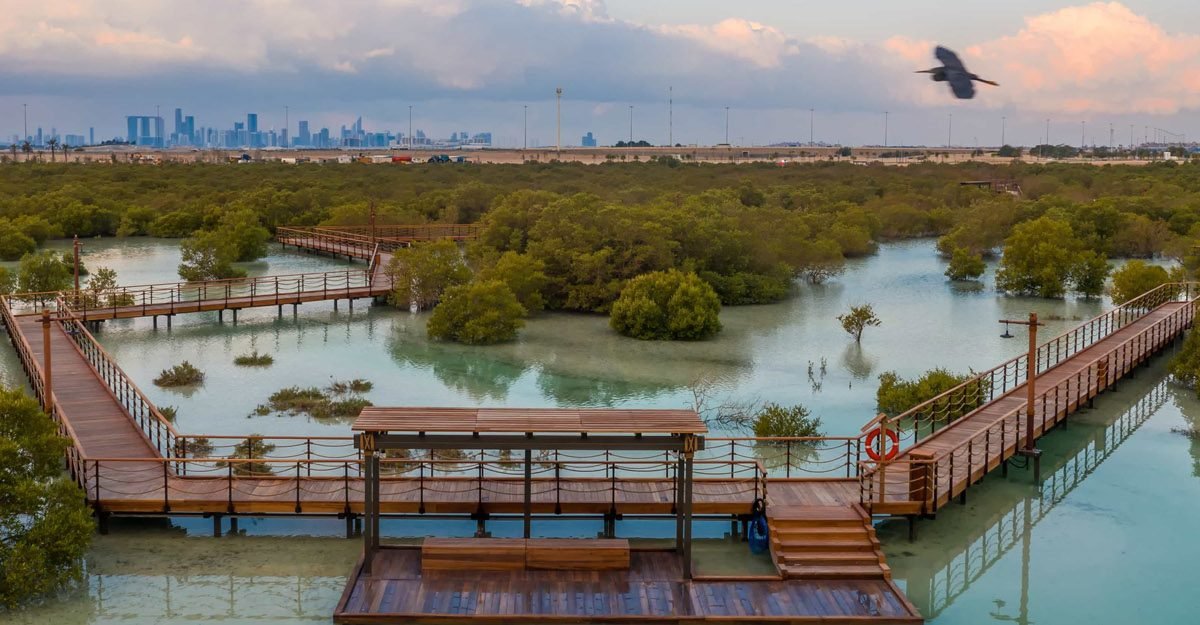 jubail mangrove