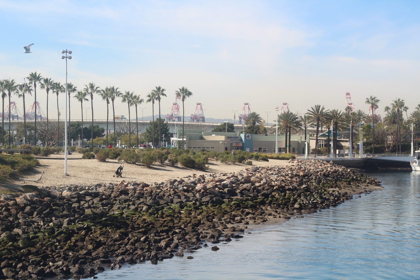 open beaches in Abu Dhabi