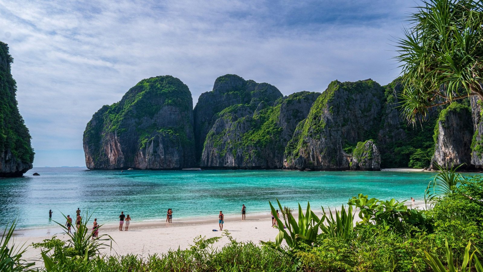 maya bay